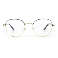 Комбинирана оптична рамка